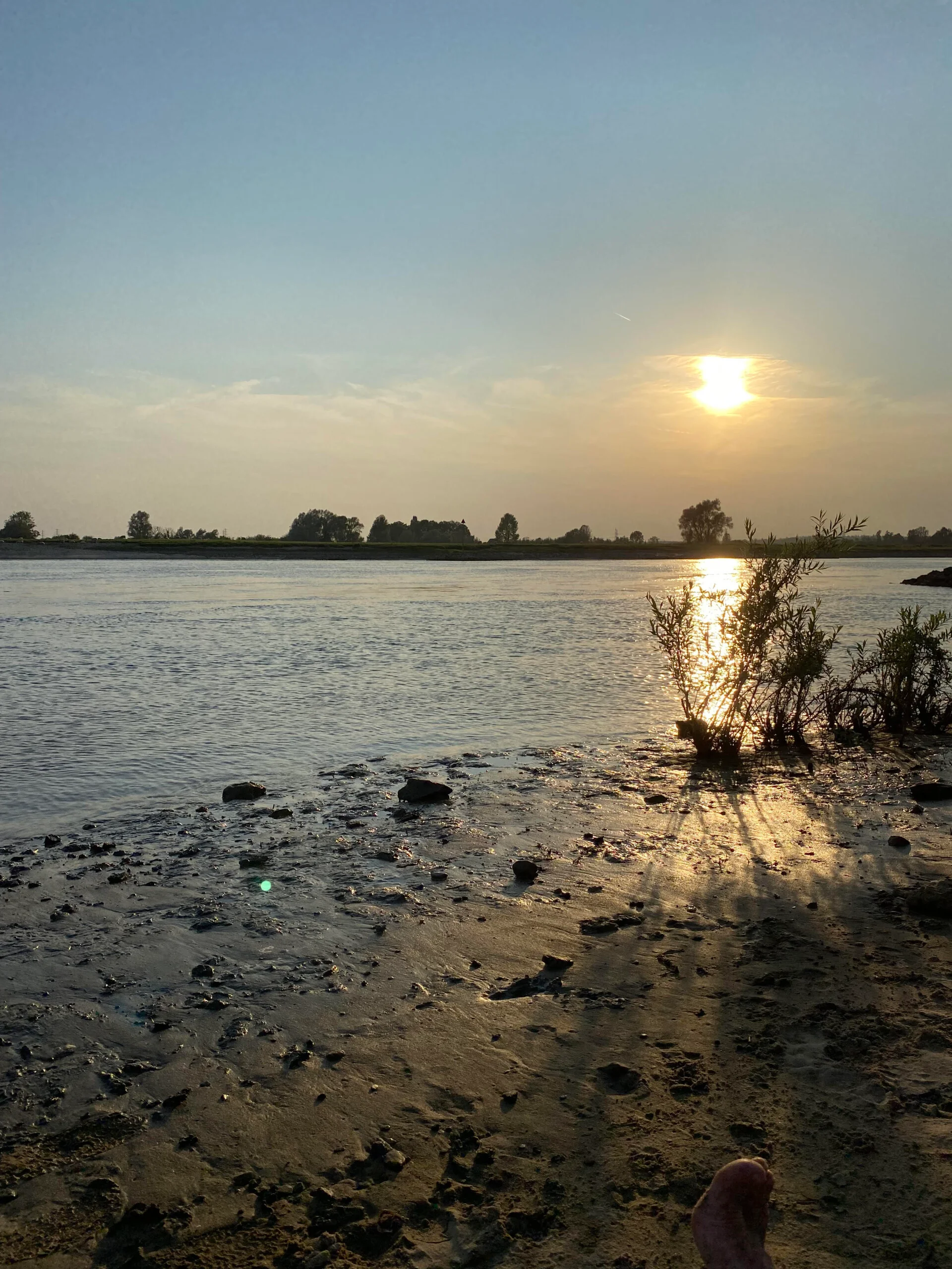IJssel landschap bij Landgoed Windesheim in Overijssel